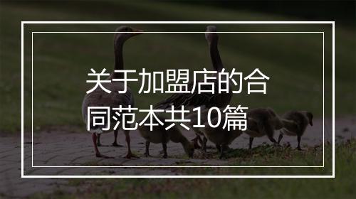 关于加盟店的合同范本共10篇