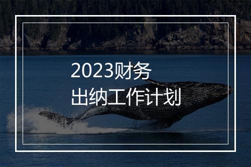 2023财务出纳工作计划