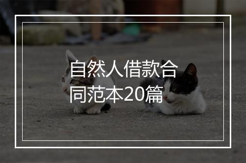 自然人借款合同范本20篇