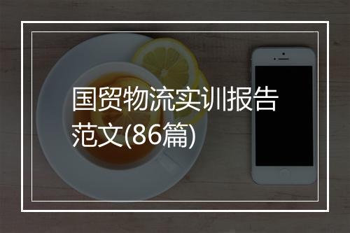 国贸物流实训报告范文(86篇)