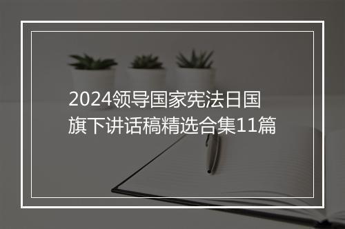 2024领导国家宪法日国旗下讲话稿精选合集11篇