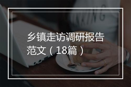 乡镇走访调研报告范文（18篇）