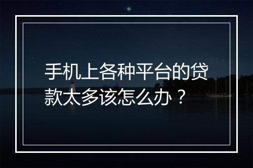手机上各种平台的贷款太多该怎么办？