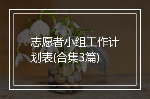 志愿者小组工作计划表(合集3篇)