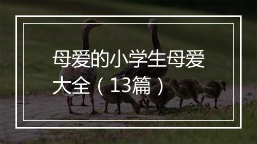母爱的小学生母爱大全（13篇）