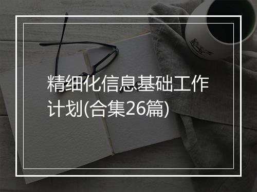 精细化信息基础工作计划(合集26篇)