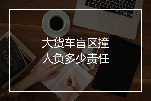 大货车盲区撞人负多少责任