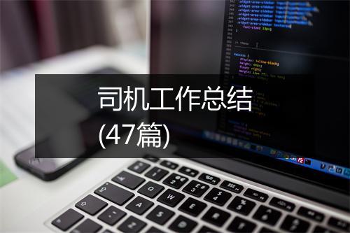 司机工作总结(47篇)