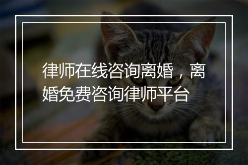 律师在线咨询离婚，离婚免费咨询律师平台