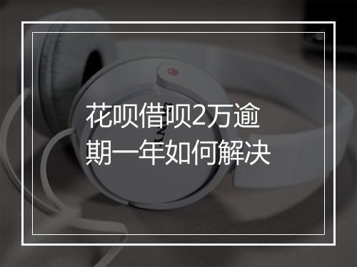 花呗借呗2万逾期一年如何解决