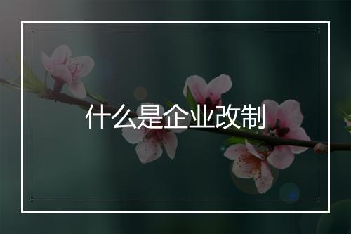 什么是企业改制