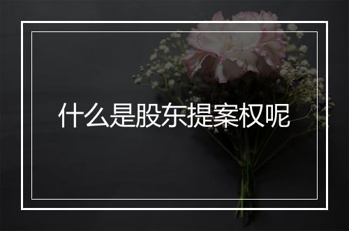 什么是股东提案权呢
