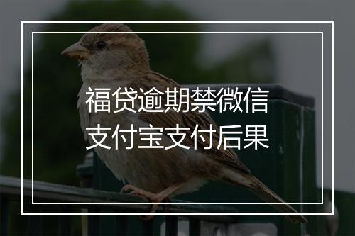 福贷逾期禁微信支付宝支付后果