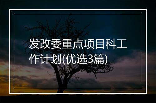 发改委重点项目科工作计划(优选3篇)
