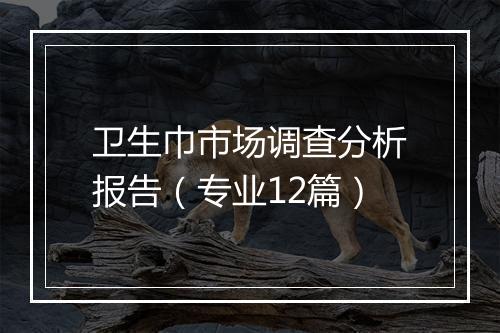 卫生巾市场调查分析报告（专业12篇）