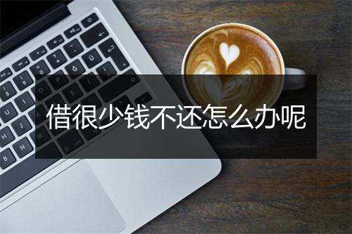 借很少钱不还怎么办呢