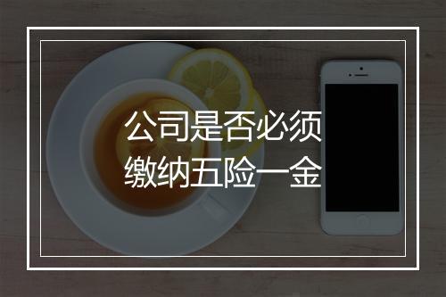 公司是否必须缴纳五险一金