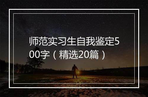 师范实习生自我鉴定500字（精选20篇）