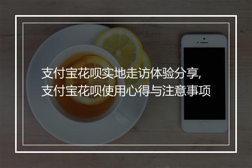 支付宝花呗实地走访体验分享,支付宝花呗使用心得与注意事项