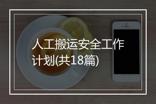 人工搬运安全工作计划(共18篇)