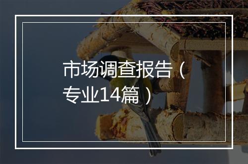 市场调查报告（专业14篇）