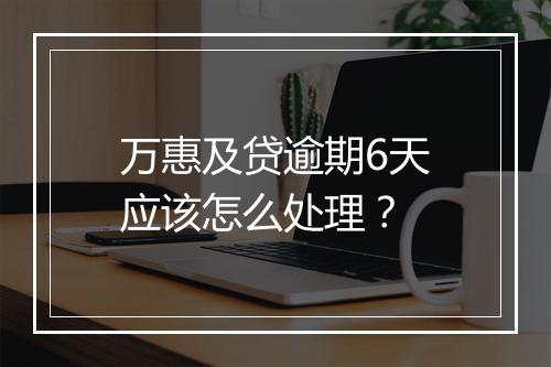 万惠及贷逾期6天应该怎么处理？