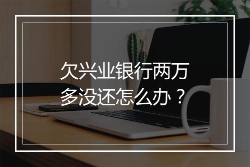 欠兴业银行两万多没还怎么办？