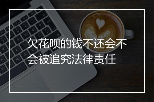 欠花呗的钱不还会不会被追究法律责任