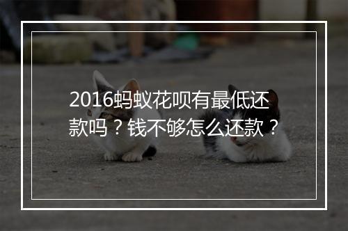 2016蚂蚁花呗有最低还款吗？钱不够怎么还款？