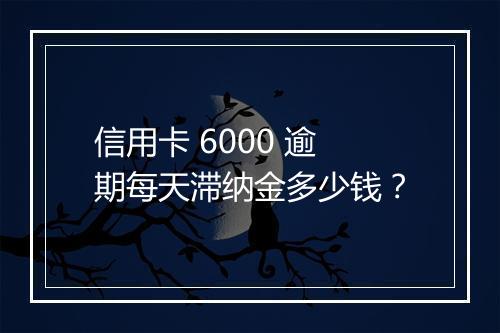 信用卡 6000 逾期每天滞纳金多少钱？