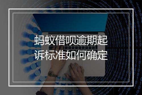 蚂蚁借呗逾期起诉标准如何确定