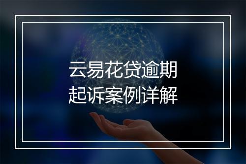云易花贷逾期起诉案例详解
