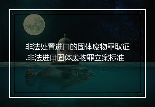 非法处置进口的固体废物罪取证,非法进口固体废物罪立案标准