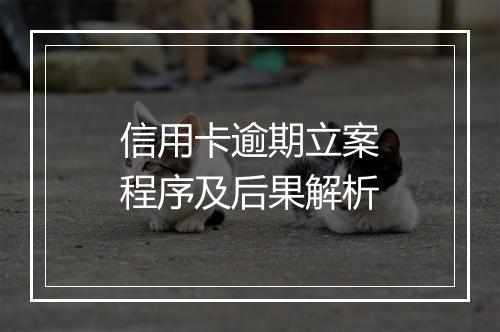 信用卡逾期立案程序及后果解析