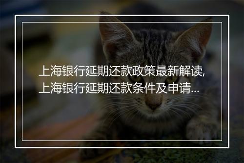 上海银行延期还款政策最新解读,上海银行延期还款条件及申请流程