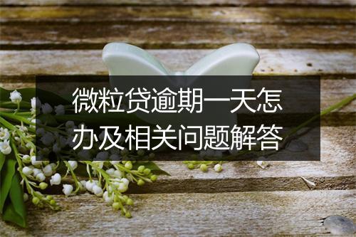微粒贷逾期一天怎办及相关问题解答