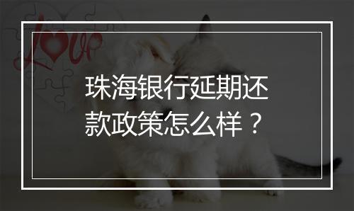 珠海银行延期还款政策怎么样？