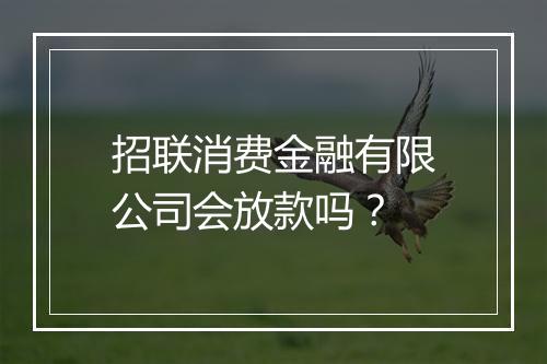 招联消费金融有限公司会放款吗？