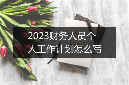 2023财务人员个人工作计划怎么写