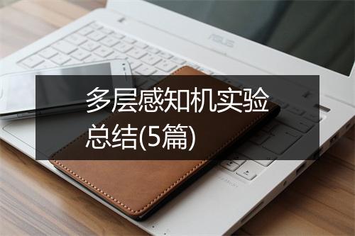 多层感知机实验总结(5篇)