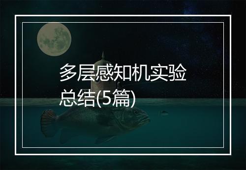 多层感知机实验总结(5篇)