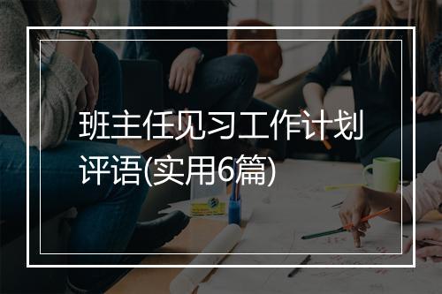 班主任见习工作计划评语(实用6篇)