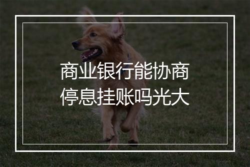 商业银行能协商停息挂账吗光大