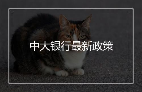 中大银行最新政策
