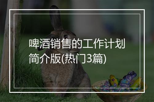 啤酒销售的工作计划简介版(热门3篇)