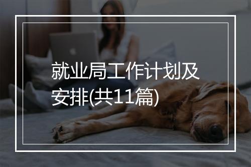 就业局工作计划及安排(共11篇)