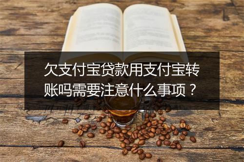 欠支付宝贷款用支付宝转账吗需要注意什么事项？
