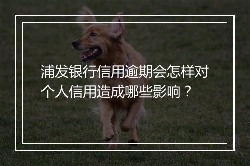 浦发银行信用逾期会怎样对个人信用造成哪些影响？