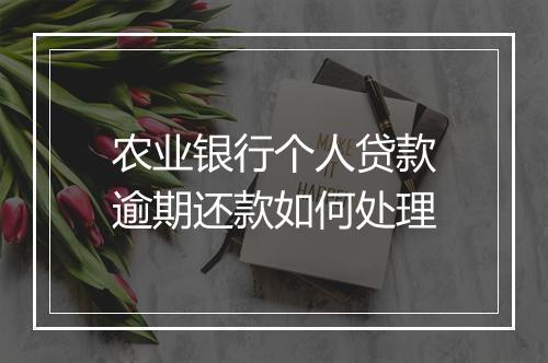 农业银行个人贷款逾期还款如何处理