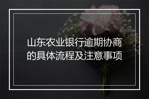 山东农业银行逾期协商的具体流程及注意事项